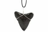 Fossil Megalodon Tooth Necklace #95236-1